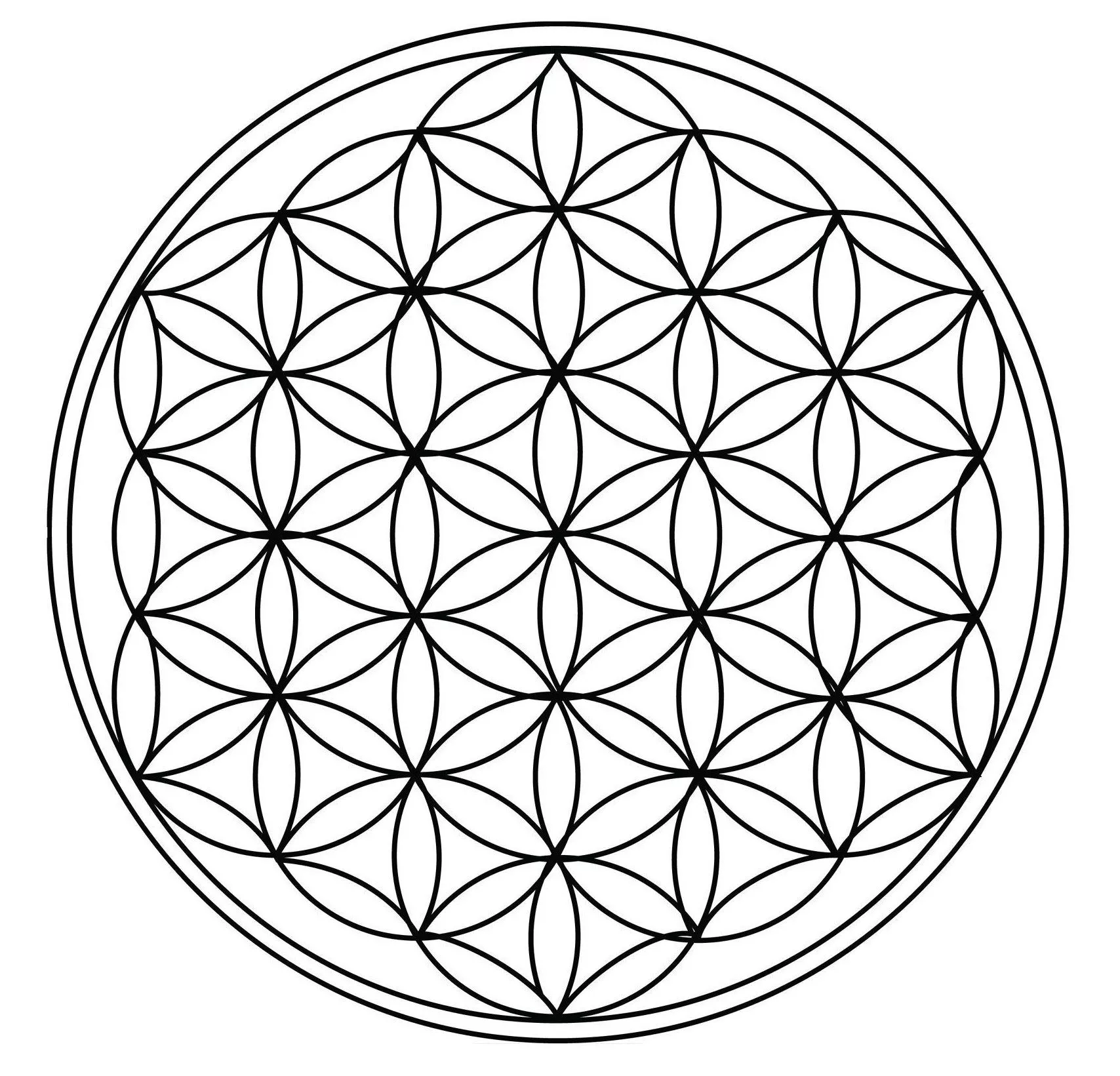The Ripple Effect Method